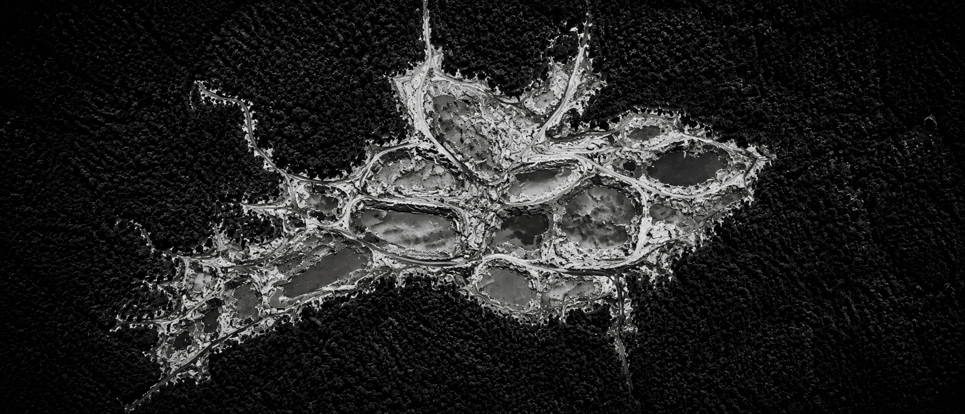 Satellite view of an illegal mining scar cut into the rainforest